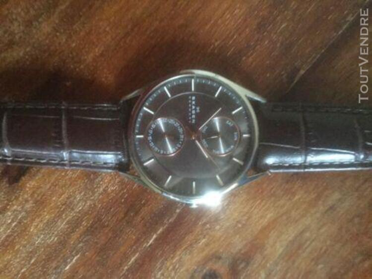 Montre homme skagen