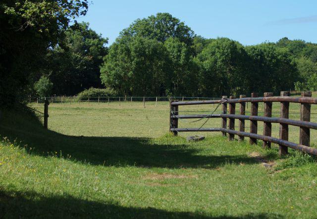 Propriété agricole normande (19.5ha), activité équestre