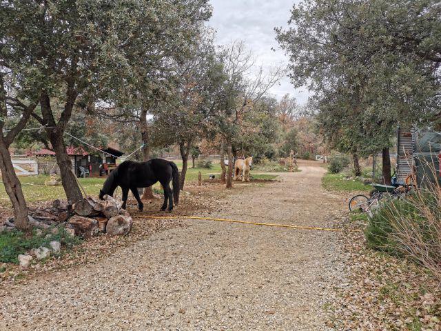 Var - murs et fonds - tourisme equestre - gites etape