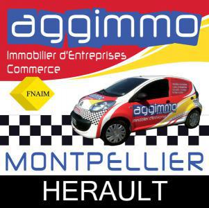 Commerce à vendre montpellier lemasson 465 m2 herault