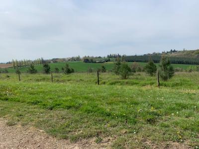 Terrain à vendre marmande 32767 m2 lot et garonne