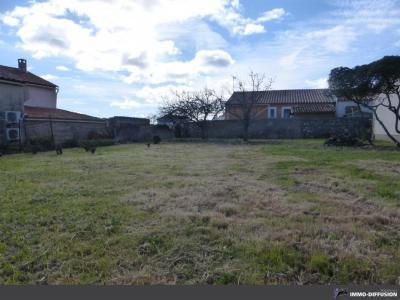 Terrain à vendre 5min du centre a pieds herault