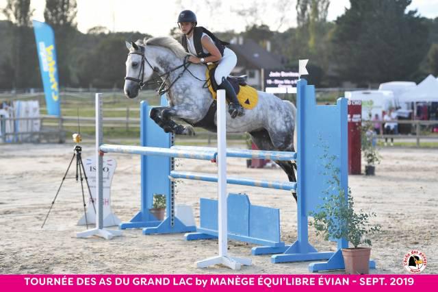 Poney de sport cso