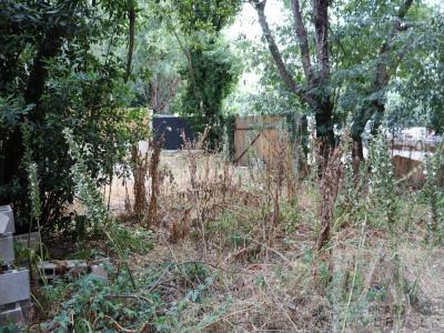 terrain à vendre montpellier 5 pièces 220 m2 herault