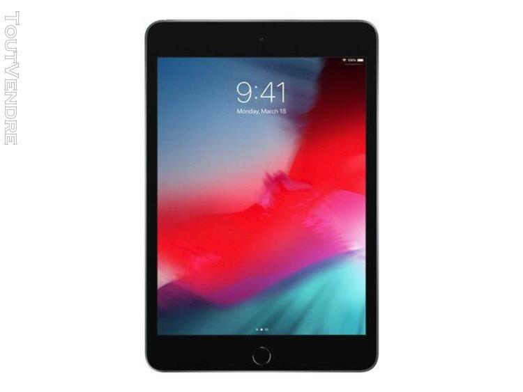 tablette apple ipad mini wi-fi 256 go 7.9 pouces gris