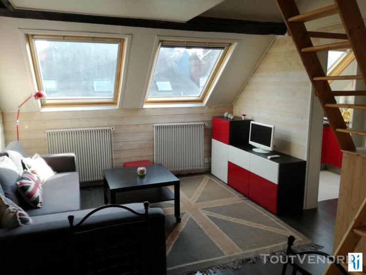 F1 bis meuble chauffage compris - rouen rue jean lecanuet