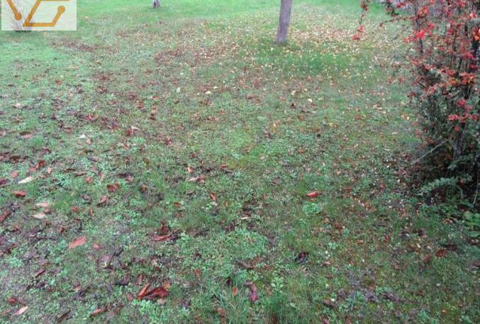 Vente terrain 1330 m² Vente terrain 1330 m²