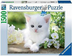 ravensburger - 16243 - puzzle - chaton blanc - 1500 pièces