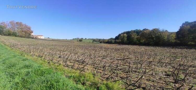 situé entre mirande et marciac, très beau terrain