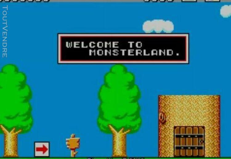 wonder boy 2 in monster land / sega master system / +