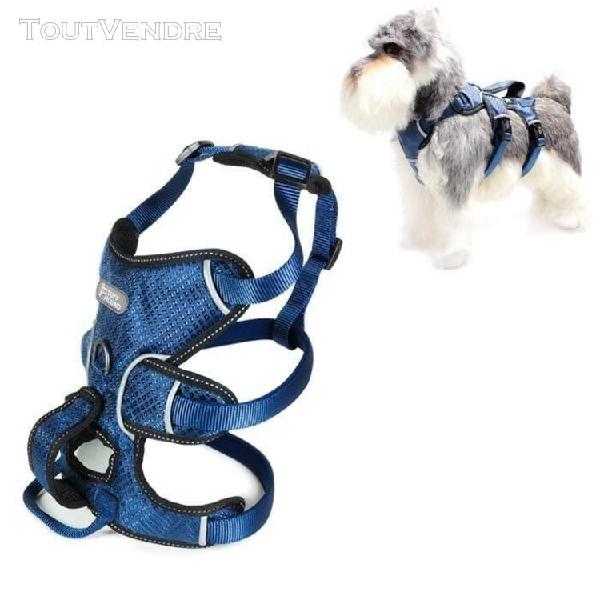 harnais chien bleu-taille: m de traction extérieur gilet