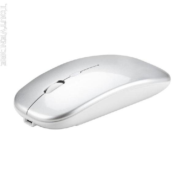 souris ordinateur sans-fil rechargeable- récepteur sans-fil