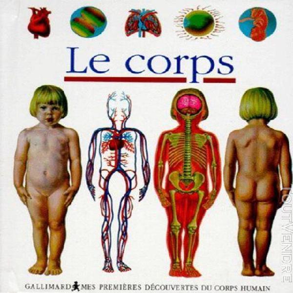 Le corps