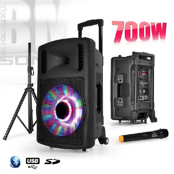 Enceinte sono karaoke mobile 12&quot; - bluetooth - 700w - boomer