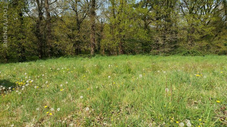 terrain à bâtir, viabilisé (réseaux à proximité) d'une