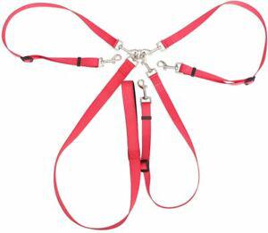 ueetek sangle de dressage pour chien rouge