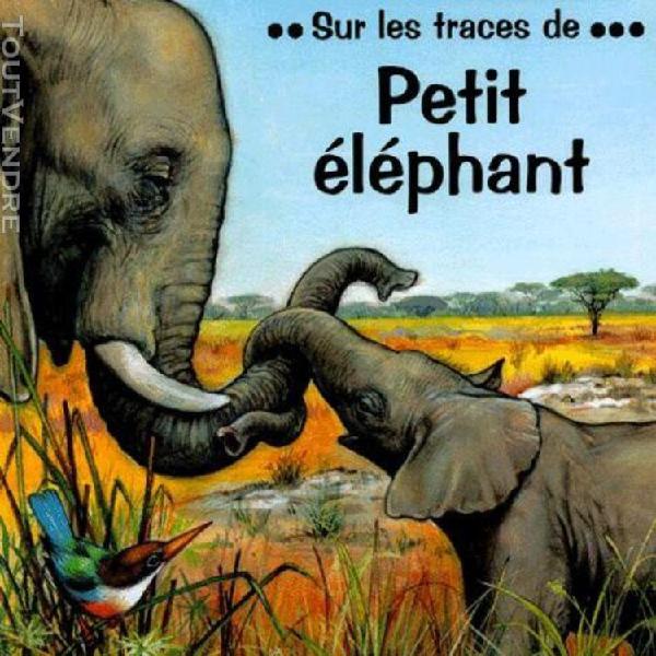 Petit éléphant