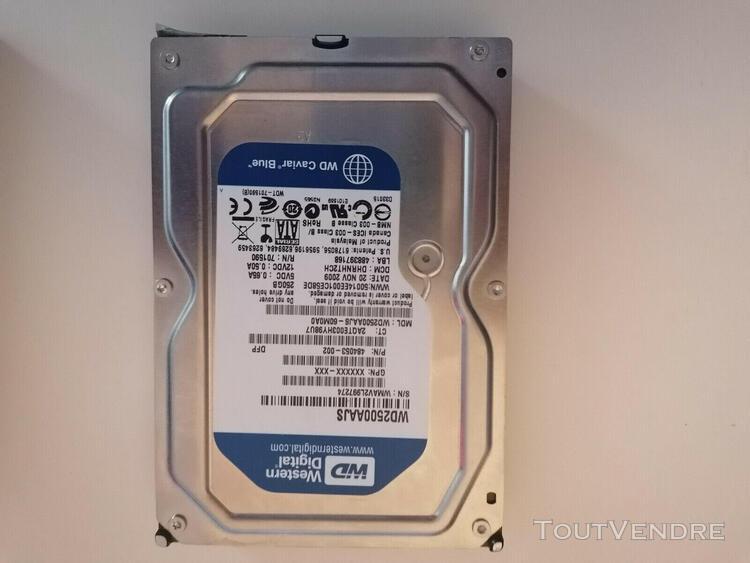 Western digital blue 3.5&quot; 250gb serial ata iii disque dur in