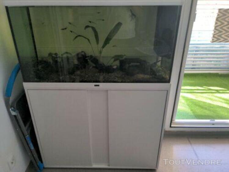 aquarium 250 litres (avec poisson)