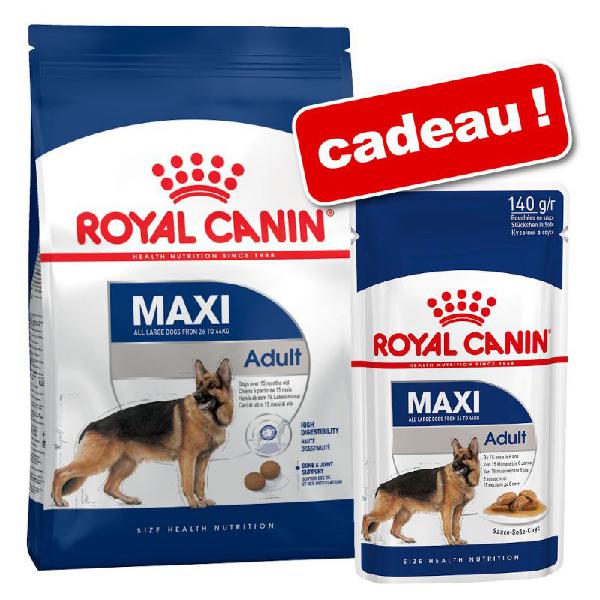 Croquettes royal canin size 8 / 15 kg + sachets 12/10 x