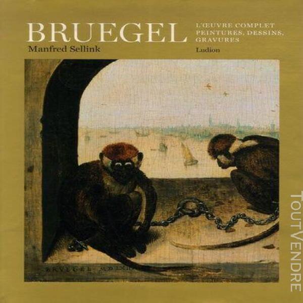 Bruegel - l&#39;oeuvre complet, peintures, dessins, gravures