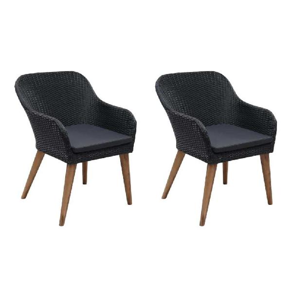 vidaxl - vidaxl fauteuil d'extérieur 2 pcs résine tressée