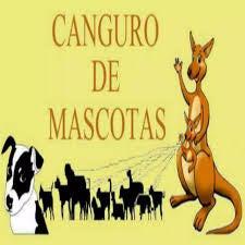 Canguro/paseadora de mascotas