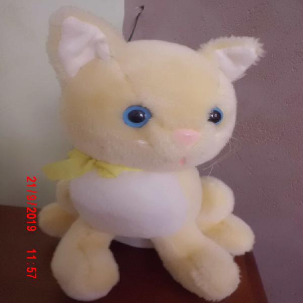 Chat jaune et blanc vintage occasion, oignies (62590)