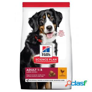 Hill&apos;s Adult Large Breed au poulet pour chien 2 x 2,5 kg