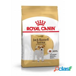 Royal Canin Adult Jack Russell Terrier pour chien 3 kg