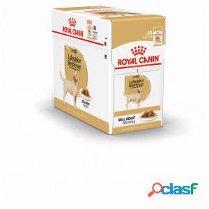 Royal Canin Adult Labrador Retriever pâtée pour chien 140 g 1 boîte (10 x 140 g)