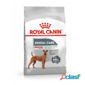 Royal Canin Dental Care Medium pour chien 10 kg