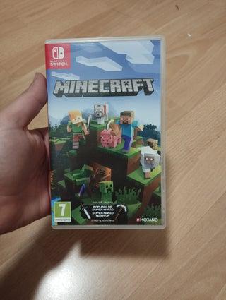 minecraft nintendo switch