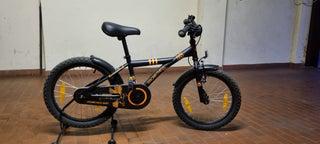 Bicicletta bambino 18