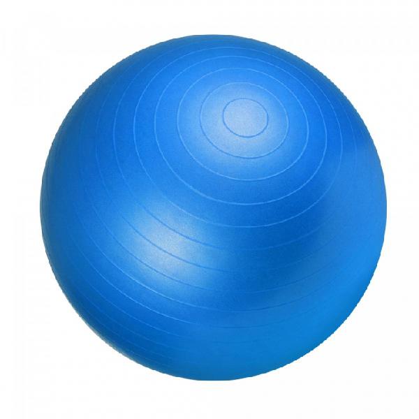 swiss ball - ballon de gym 55cm bleu