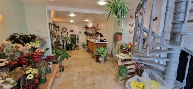Local commercial vendre auch 3 pices 52 m2 gers Local commercial vendre auch 3 pices 52 m2 gers