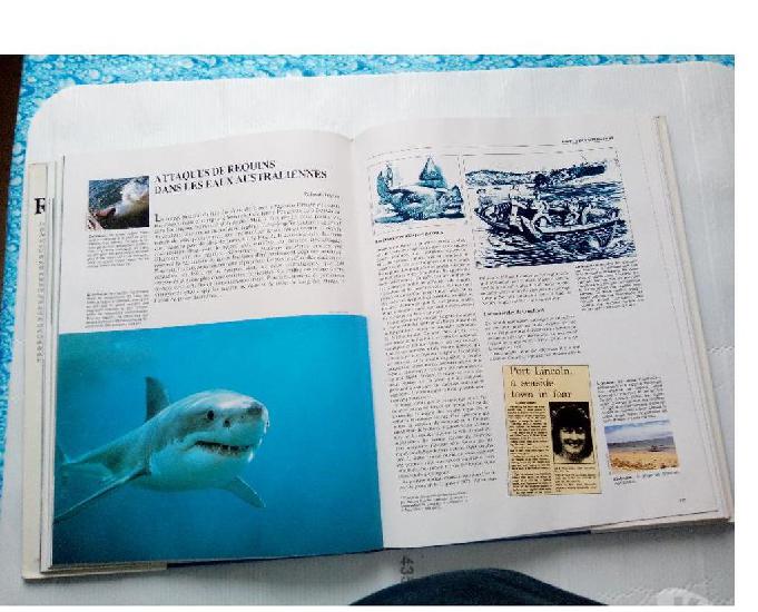 Livre les requins bordas