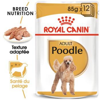 Royal canin poodle adult en sauce 12x85 g