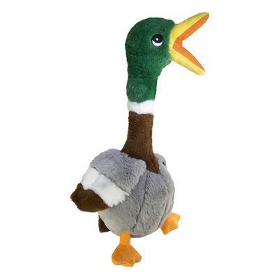 Jouet kong shakers honkers canard pour chien ✓ pas cher