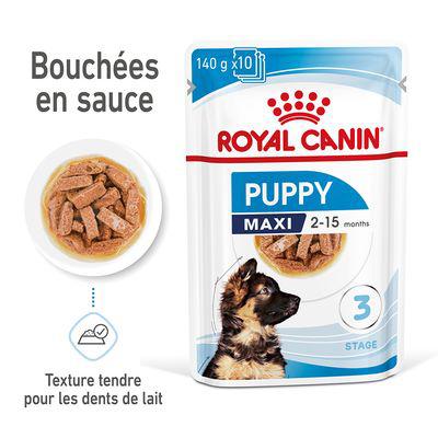 royal canin maxi puppy en sauce pour chiot ✓ pas cher