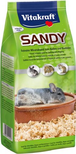 Sable chinchilla sandy - zoomalia