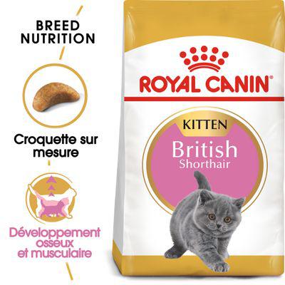 royal canin kitten british shorthair pour chaton - pas cher