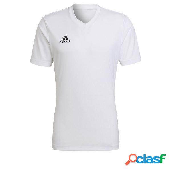 Adidas t-shirt dentraînement entrada 22 - blanc enfant, pointure 140 cm