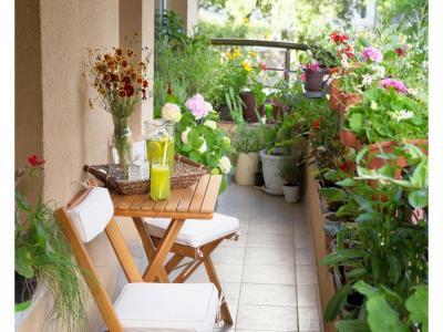 Appartement vendre toulouse 2 pices 44 m2 haute garonne Appartement vendre toulouse 2 pices 44 m2 haute garonne